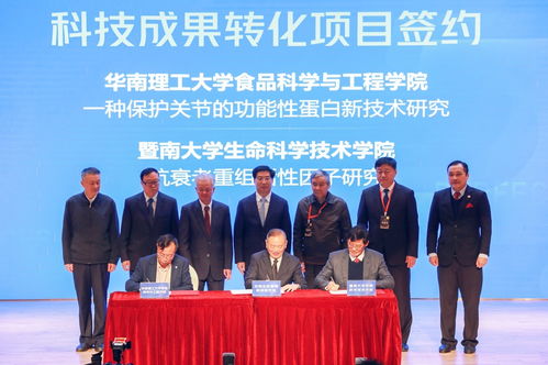 科技驱动发展，健康引领未来——技术创新如何重塑健康产业